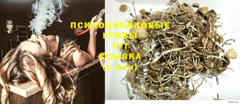 Галлюциногенные грибы GOLDEN TEACHER  Чебоксары 